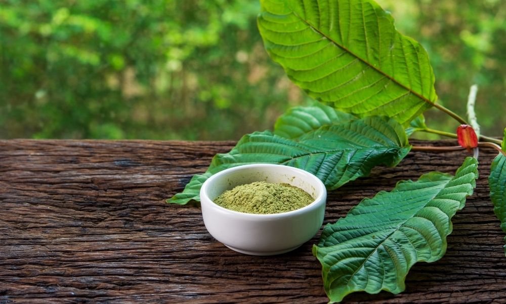 Kratom: Exposing How Mind and Body Are Affected