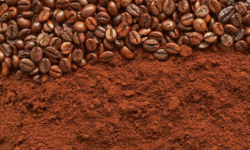 Coffee Wholesale – How to Save Big Without Compromising on Quality?